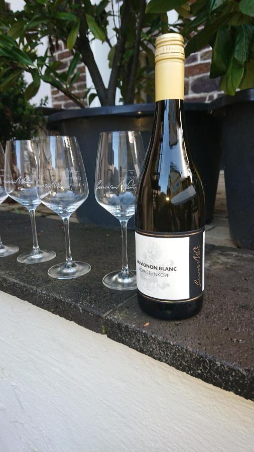 Ferienweingut Serwaziwein ميسينيش المظهر الخارجي الصورة
