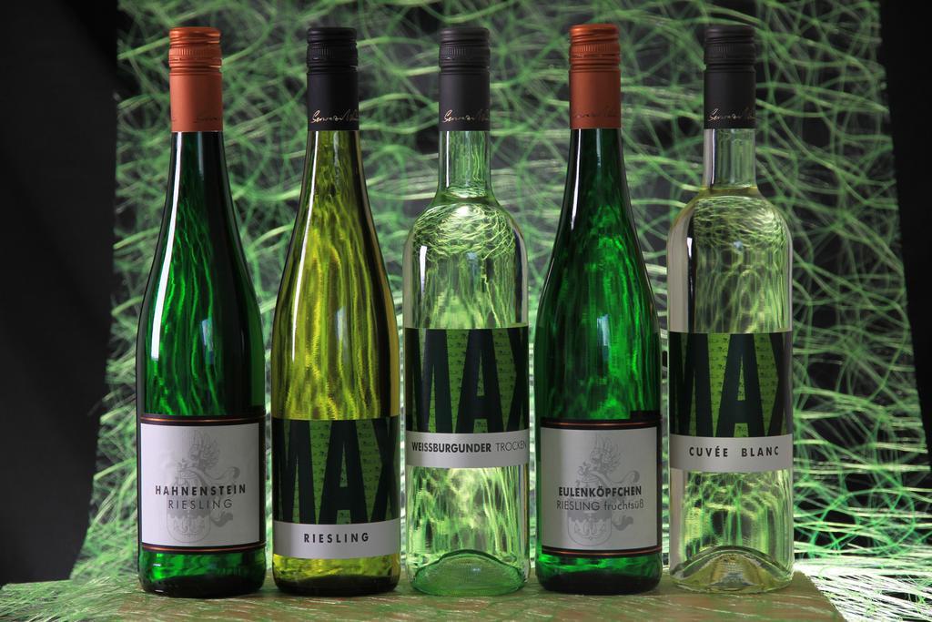 Ferienweingut Serwaziwein ميسينيش المظهر الخارجي الصورة